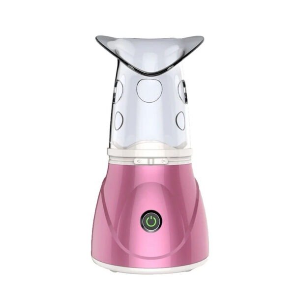 PROFESSIONAL FACIAL STEAMER
